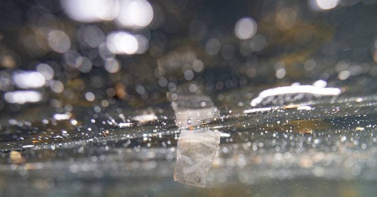 Microplastics detected in packaged baby food