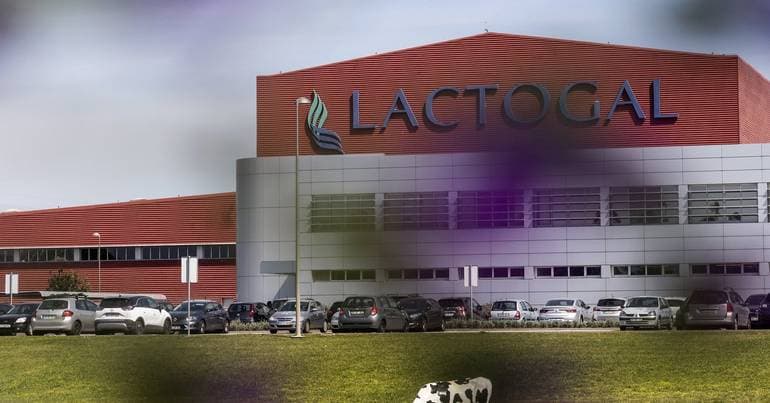 Cheap imports push dairy sector into crisis