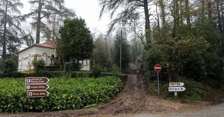 Public consultation on nature restoration plan ends
