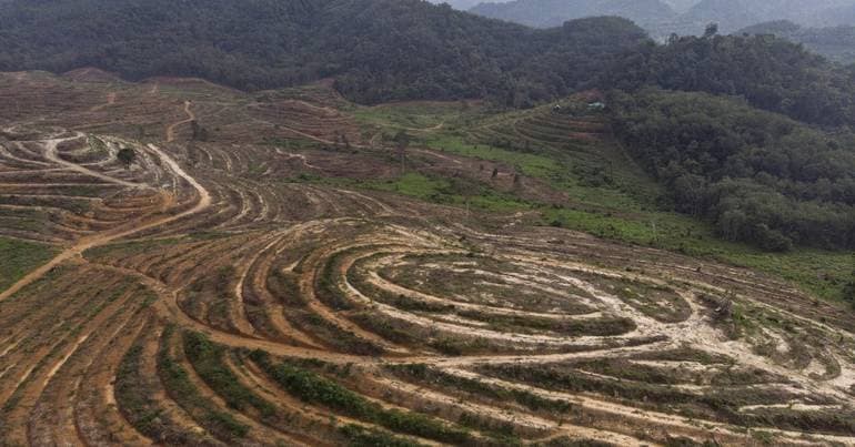 Portugal signs European Convention against Environmental Crimes