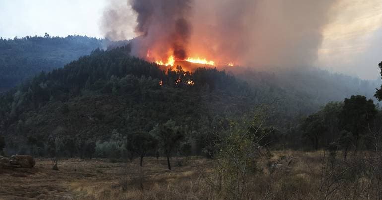 Man arrested for starting a controlled burn that resulted in a wildfire
