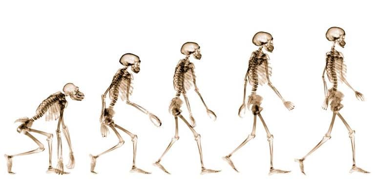 What is the place of Homo sapiens in the Grand Scheme of Life?