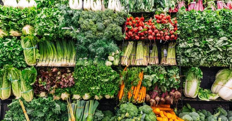 Fertility: Tâmega e Sousa Local Health Unit creates nutrition consultation
