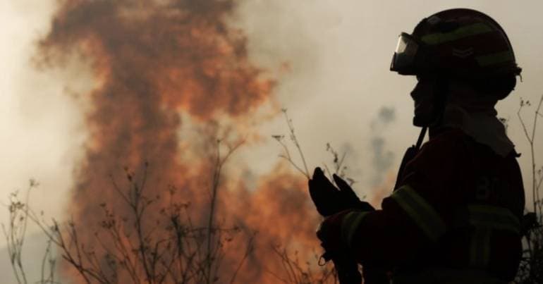 Arrested for causing a forest fire during harvesting