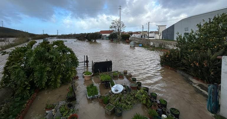 Bad weather. "Everything will be gone in an instant"