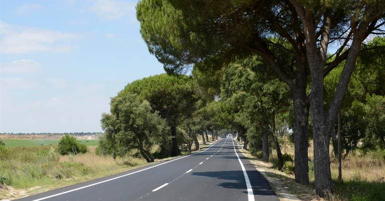 EN243 reopens Friday in Alcanena, eight months after Storm Kristin