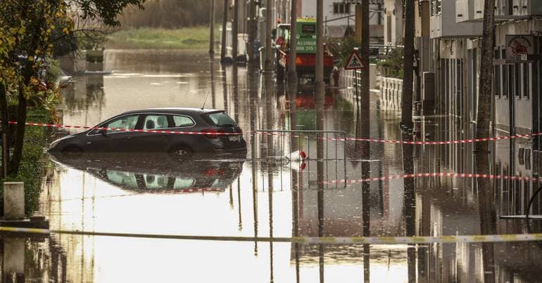 Alcácer do Sal needs timber to restore the quay