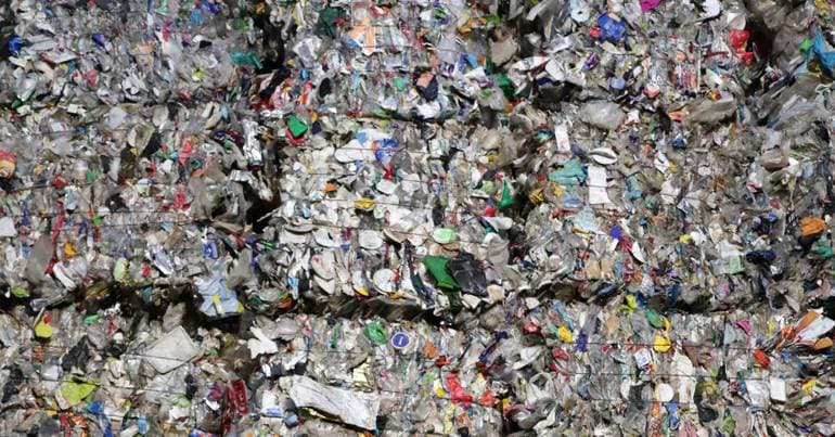 Quercus criticises Government over Algarve incinerator