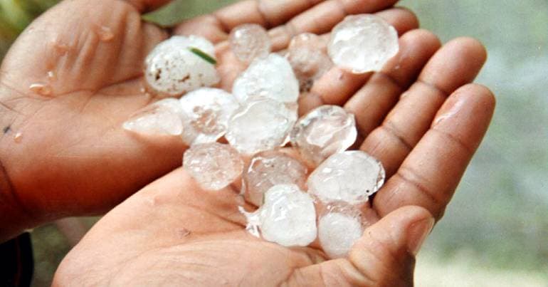"Phenomenon" of wind and hail causes damage in Albergaria