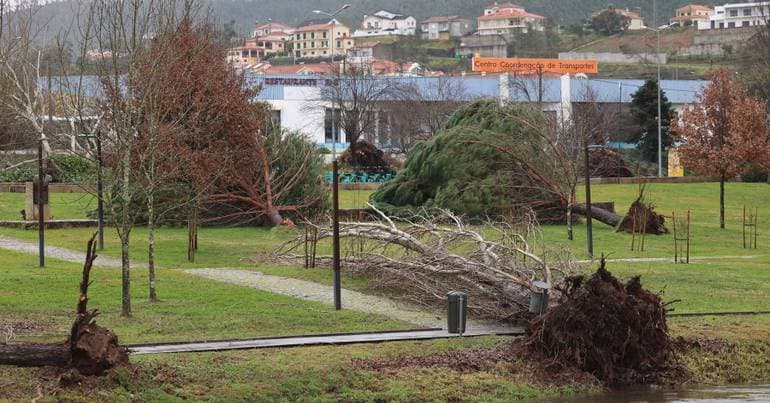 Sertã supports the renovation of homes for 15 needy families