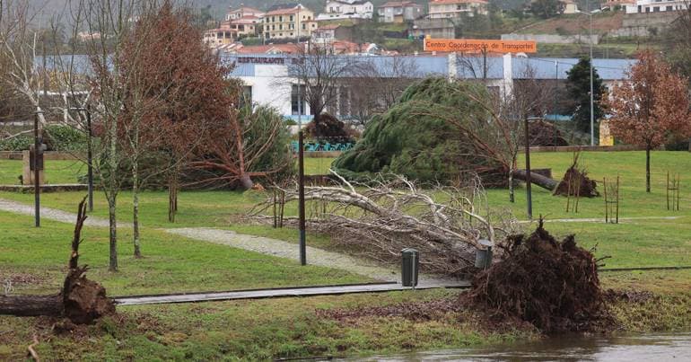 Storms. "There has been no reinforcement yet," says Sertã