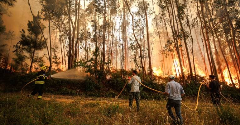 Vouzela City Council: "We expect support from the central administration"