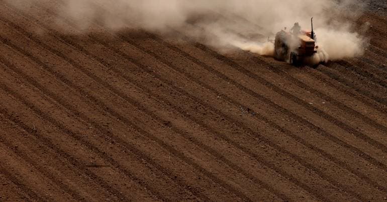 Algarve federation opposes EU-Mercosur agreement