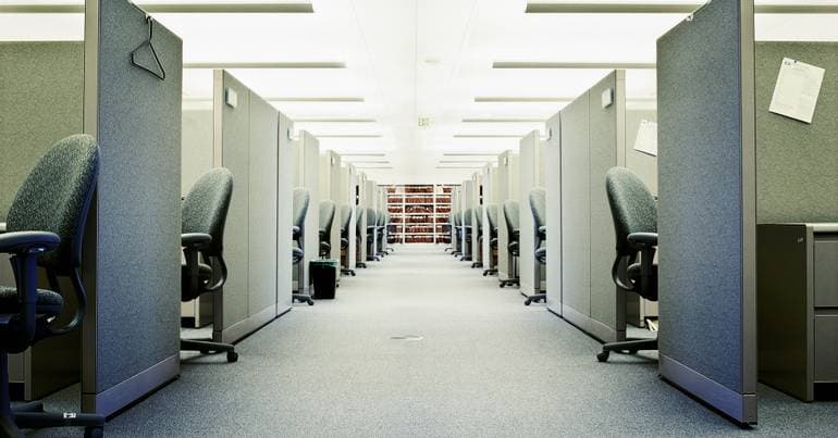 ACT: 375 companies sanctioned for harassment in 2025