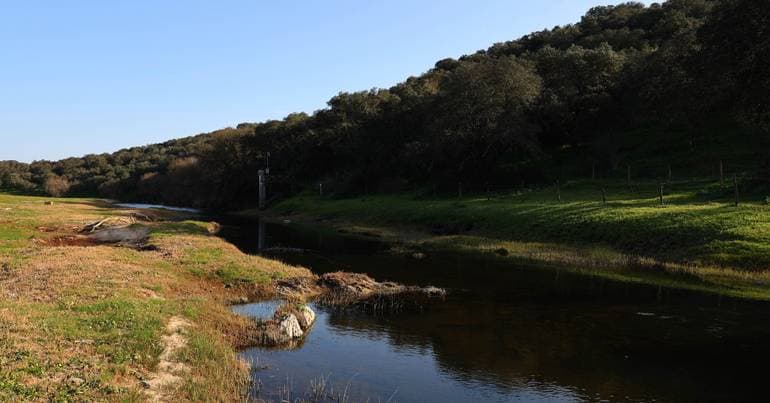 Young woman found dead in music festival area