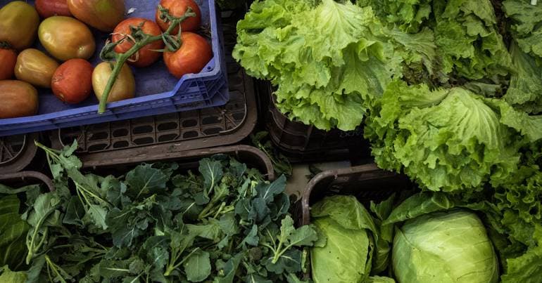Nutritionists want zero VAT for the Mediterranean diet