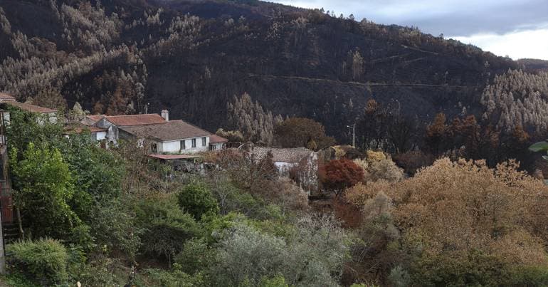 Fire in Gerês. GNR identified 47 people during alert