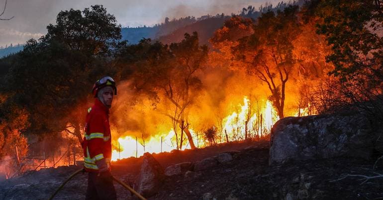 Beiras and Serra da Estrela receive reinforcements for firefighting