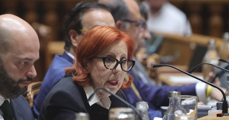 Government 'has never pressured environmental bodies'