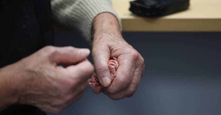 Nine illegal care homes closed and seven arrested in Lousada
