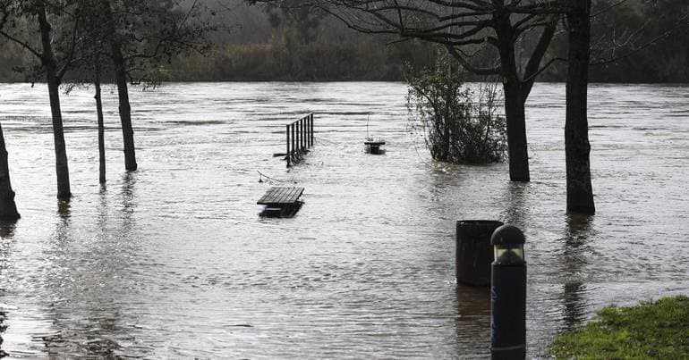Crane collapse in Figueira da Foz leaves 6 people displaced