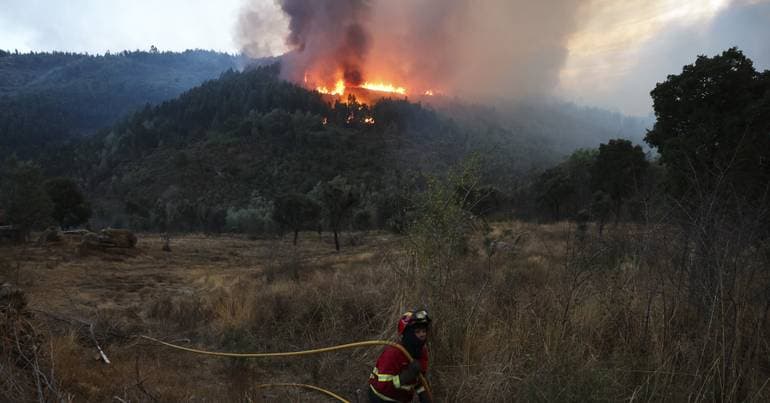 Satellites monitor forests in Coimbra to prevent fires