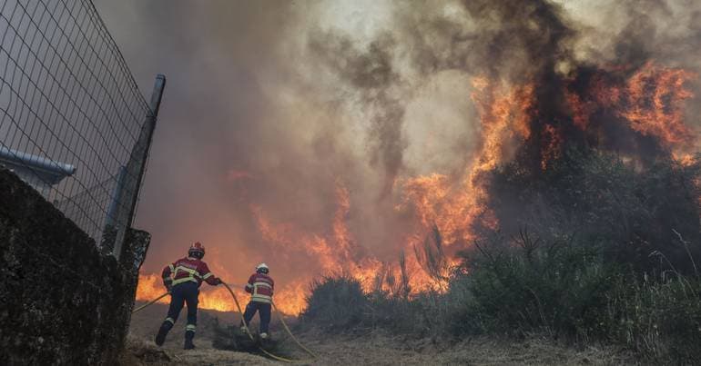 Wildfires: Baladi advocates for a programme involving common lands in prevention