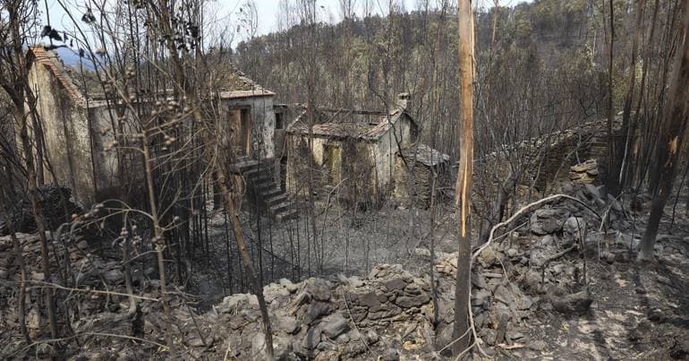 Wildfires: Interventions in Tondela to begin by September