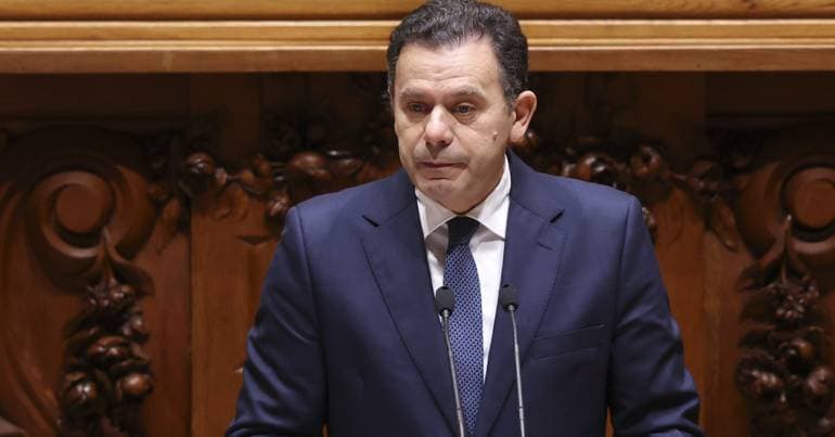 Brussels approves 250 million euros for the forestry sector