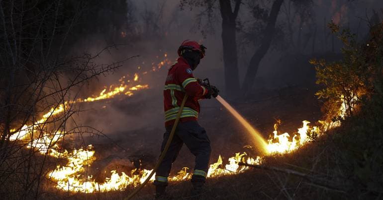 EU: Half of the area burned in 2025 was in Portugal and Spain