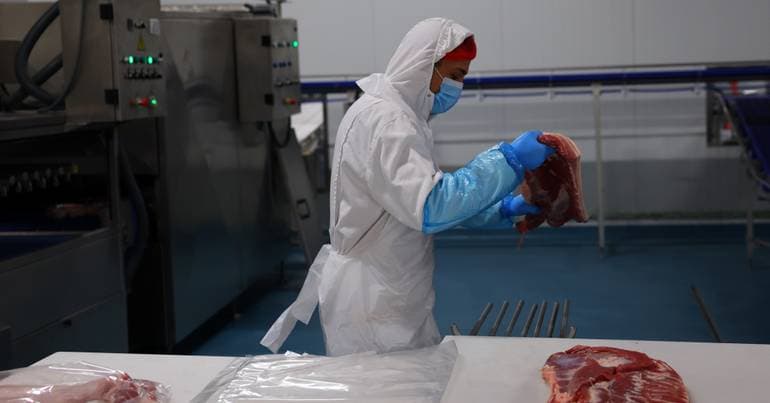 INE: 32.1% consume processed meat and fish weekly