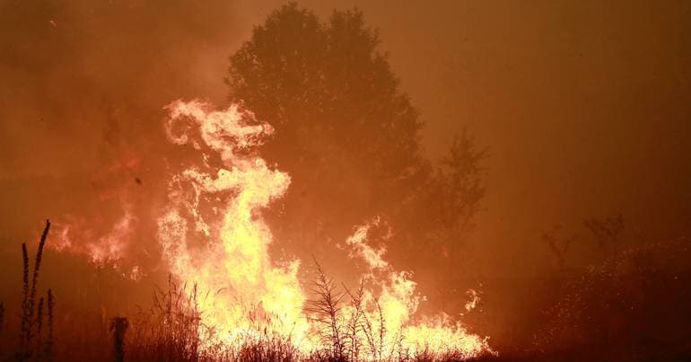 Elderly man named as suspect for fire in Carrazeda de Ansiães