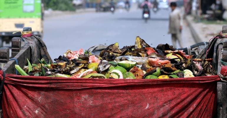 UN: one billion tonnes of food wasted