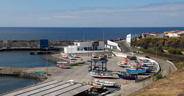 PAN Azores condemns the killing of a shark in Rabo de Peixe