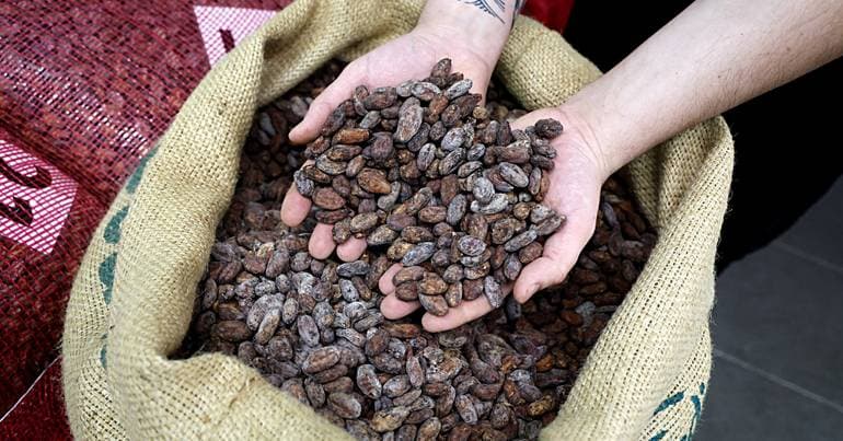 Cocoa exceeds 3,500 dollars due to geopolitical tensions