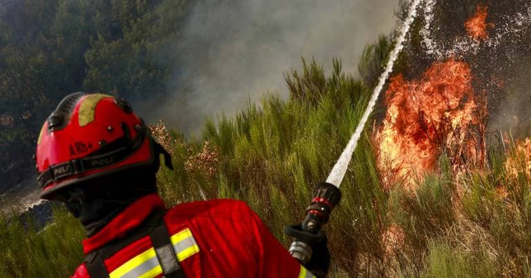 Suspect arrested by the PJ for starting fires in Mêda
