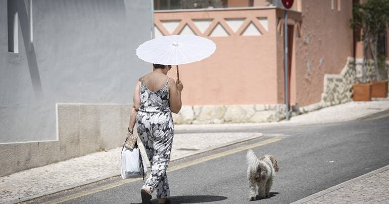 UN warns: heatwave is a "sign" of the climate crisis