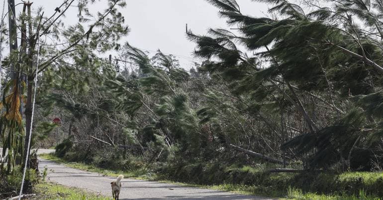 50 million euros in losses reported by farmers