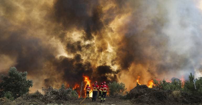 Wildfires. 50 municipalities at very high risk