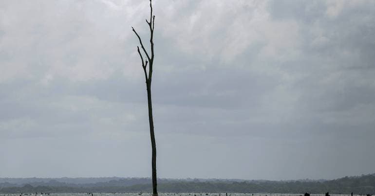 Explainer: Everything you need to know about El Niño