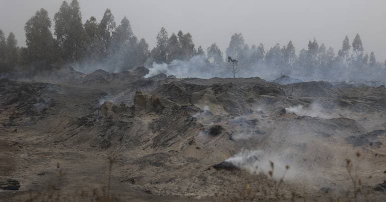 One thousand personnel fighting fires in Valpaços, Mirandela, and Vinhais