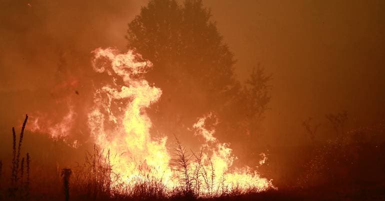 Portugal, Spain and France create app for fire evolution