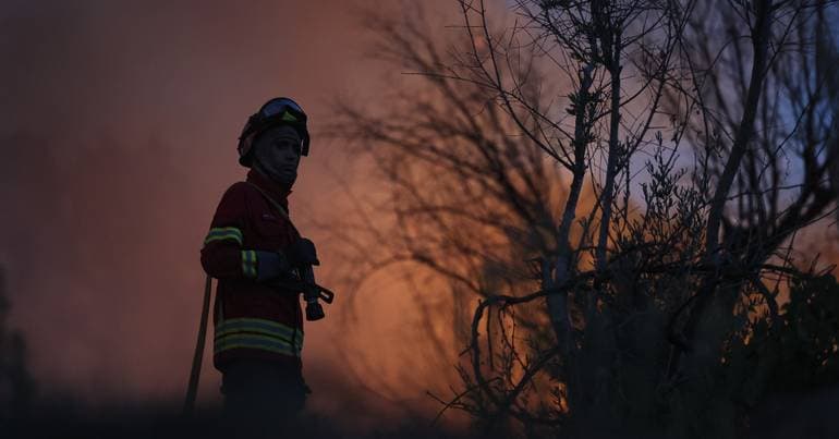 Fire in Vale de Cambra in the mopping-up phase