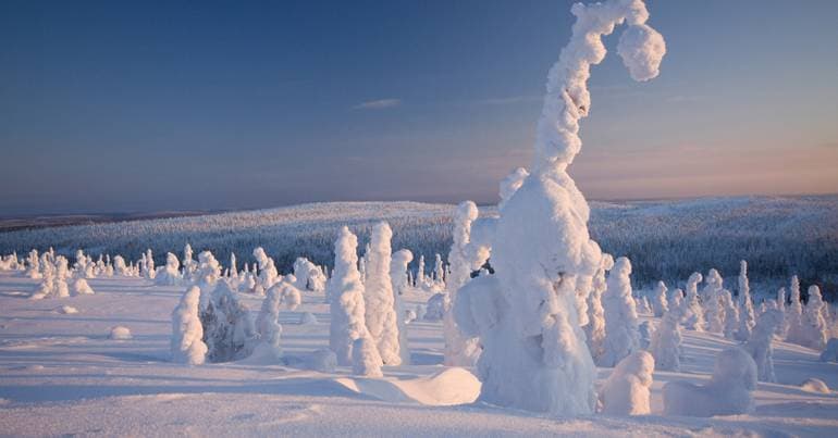 Portuguese researcher investigates carbon in the Arctic