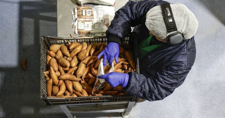 Three thousand immigrants hired through the 'fast track' scheme