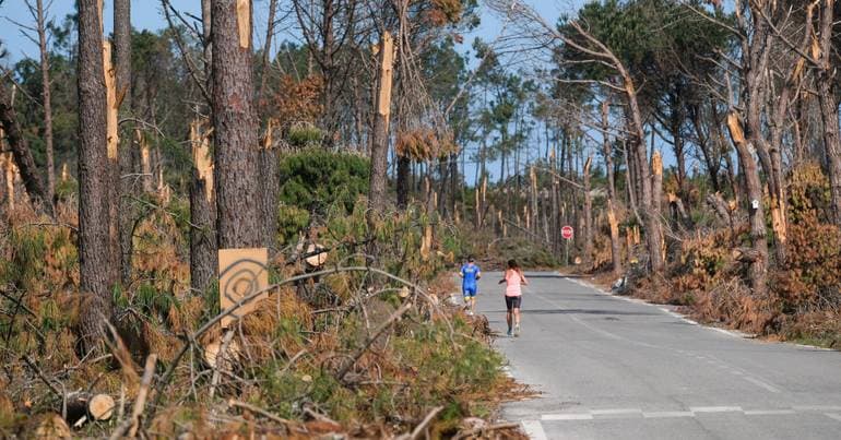 Effects of storm Kristin increase fire risk