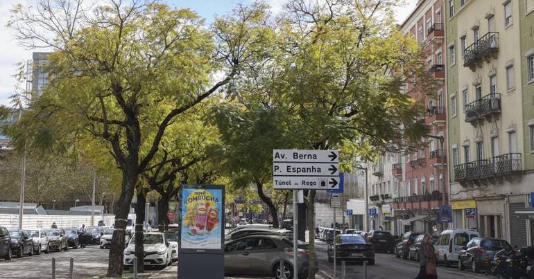 Lisbon pays 180,000 euros to firefighters to water trees
