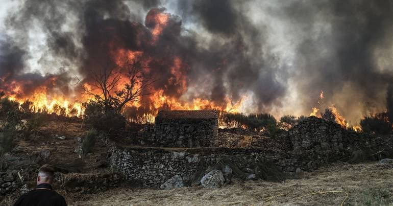 Eight municipalities at maximum risk in Vila Real and Bragança
