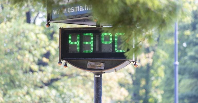 Lisbon Local Health Units activate heat contingency plans