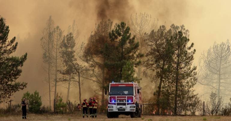 Fire in Proença-a-Nova mobilises 404 personnel
